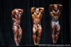 mr-olympia-2006_56_.jpg