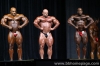 mr-olympia-2006_74_.jpg