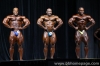 mr-olympia-2006_93_.jpg