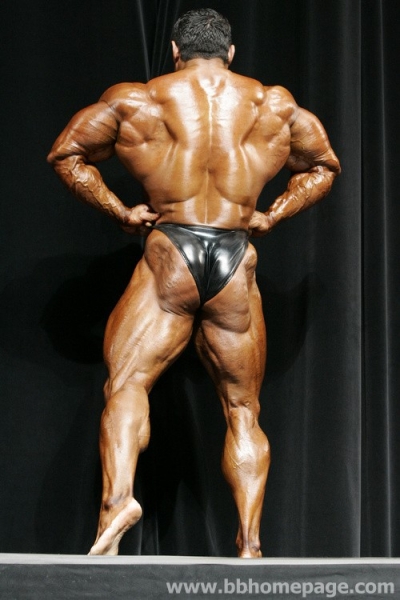 Gustavo Badell  Arnold Classic 2007