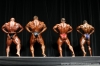 arnold-classic-2007-confronti_112_.jpg