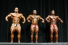 arnold-classic-2007-confronti_124_.jpg