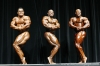 arnold-classic-2007-confronti_129_.jpg