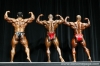 arnold-classic-2007-confronti_130_.jpg