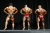 arnold-classic-2007-confronti_131_.jpg