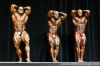 arnold-classic-2007-confronti_133_.jpg