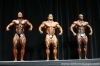 arnold-classic-2007-confronti_135_.jpg