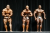 arnold-classic-2007-confronti_143_.jpg