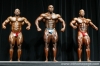 arnold-classic-2007-confronti_144_.jpg