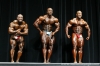 arnold-classic-2007-confronti_155_.jpg