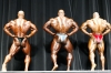 arnold-classic-2007-confronti_18_.jpg