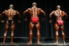 arnold-classic-2007-confronti_4_.jpg