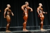 arnold-classic-2007-confronti_5_.jpg