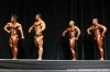 arnold-classic-2007-confronti_68_.jpg