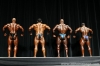 arnold-classic-2007-confronti_83_.jpg