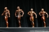 arnold-classic-2007-confronti_8_.jpg