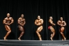 arnold-classic-2007-confronti_99_.jpg