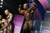 arnold-classic-confronti_12_.jpg