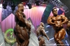 arnold-classic-confronti_18_.jpg