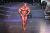 Arnold-Classic-2009_41_.jpg