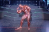 Arnold-Classic-2009_65_.jpg