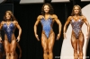 figure-olympia-2006-confronti_13_.jpg