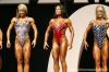 figure-olympia-2006-confronti_26_.jpg