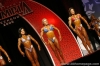 confronti-figure-olympia-2006-pre-gara_80_.jpg