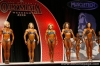 fitness-olympia-2006_22_.jpg