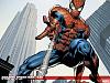 Clicca l'immagine per ingrandirla. 

Nome: spiderman-.jpg 
Visualizzazioni: 639 
Dimensione: 100.9 KB 
ID: 10661