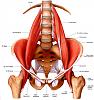 Clicca l'immagine per ingrandirla. 

Nome: image.jpg 
Visualizzazioni: 851 
Dimensione: 90.0 KB 
ID: 12272