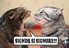 Clicca l'immagine per ingrandirla. 

Nome: gatto_signor_si_signore.jpg 
Visualizzazioni: 309 
Dimensione: 98.5 KB 
ID: 14179