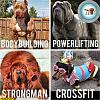 Clicca l'immagine per ingrandirla. 

Nome: after-gym-dogs-comparison-body-building-powerlifting-strongman-crossfit.jpg 
Visualizzazioni: 453 
Dimensione: 97.7 KB 
ID: 18674