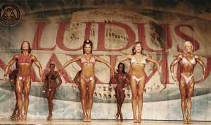 Ludus Maximus 2013 IFBB