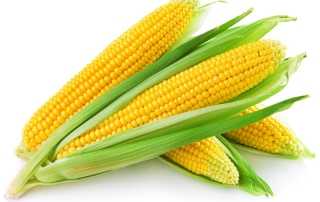 L'Amido di mais ceroso, o WMS, dall'inglese Waxy maize starch, è un tipo di amido di mais di origine cinese. Il nome "ceroso" si riferisce al fatto che al microscopio è visibile una somiglianza con la struttura della cera.