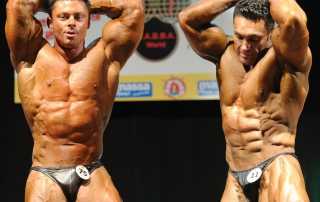 Mr Universo WABBA 2013