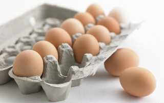 Le uova sono un'ottima fonte proteica, imprescindibile nella dieta, sono economiche, di facile reperibilità e poco costose e possono essere impiegate in molte ricette.