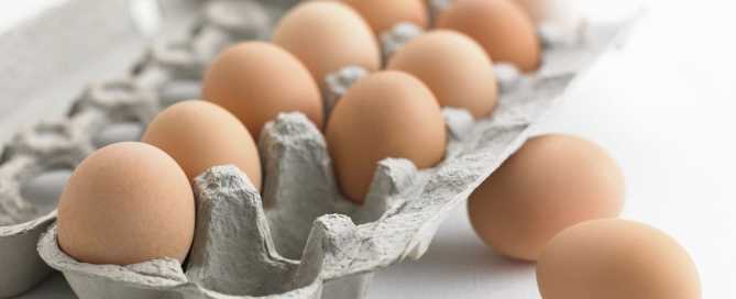 Le uova sono un'ottima fonte proteica, imprescindibile nella dieta, sono economiche, di facile reperibilità e poco costose e possono essere impiegate in molte ricette.